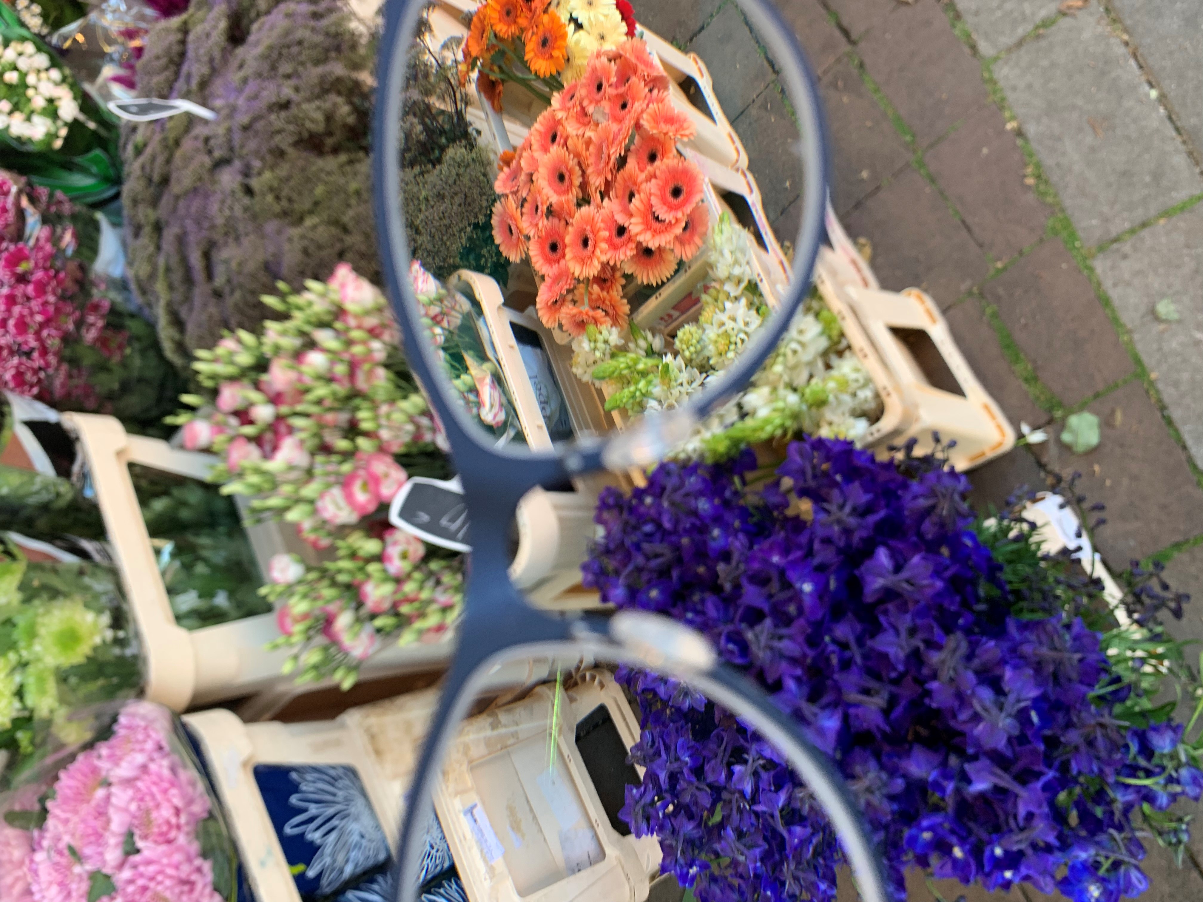 Stopping to Smell the Flowers Image